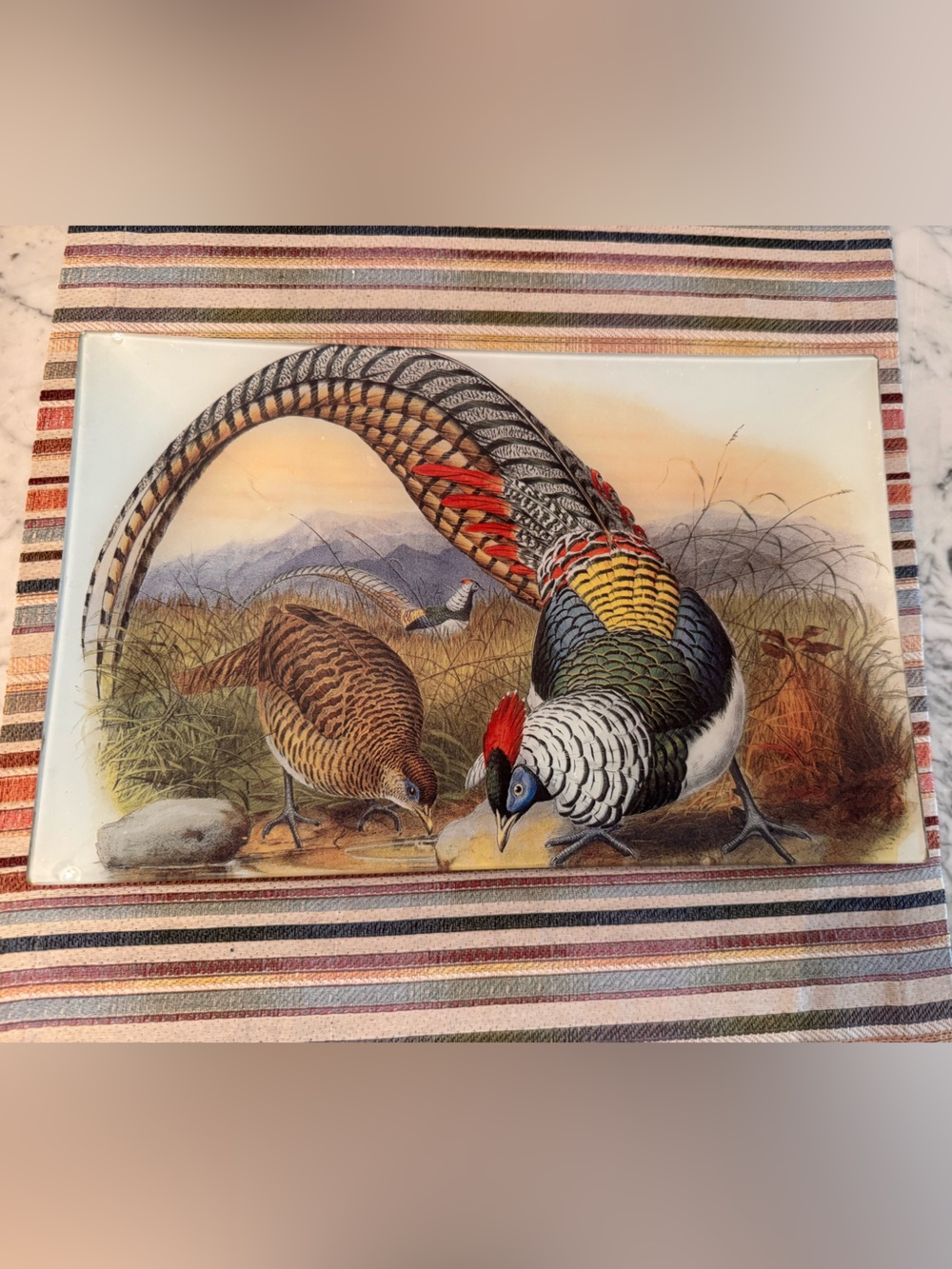 Twigs by Susann Haas decoupage, 9x14, like new, pheasant design